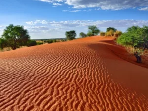 Take a journey and discover Namibia with Great Holiday Escapes