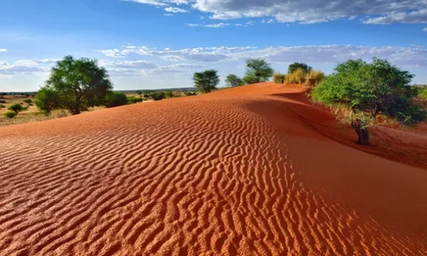 Take a journey and discover Namibia with Great Holiday Escapes