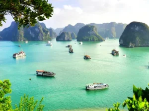 Essential Vietnam & Cambodia ( 15 Days)